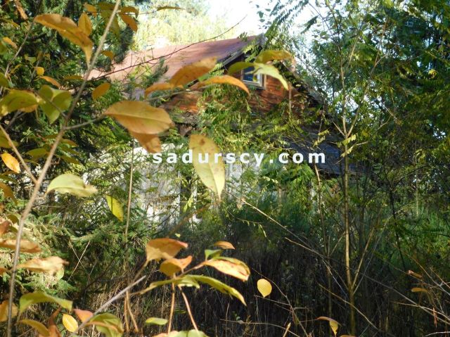 Działka budowlana Biały Ług. Zdjęcie 5