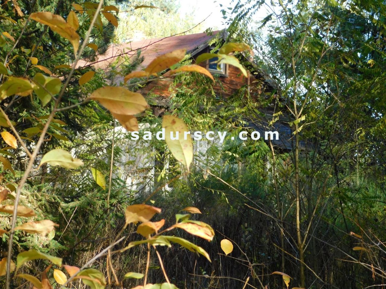 Działka budowlana Biały Ług. Zdjęcie 5