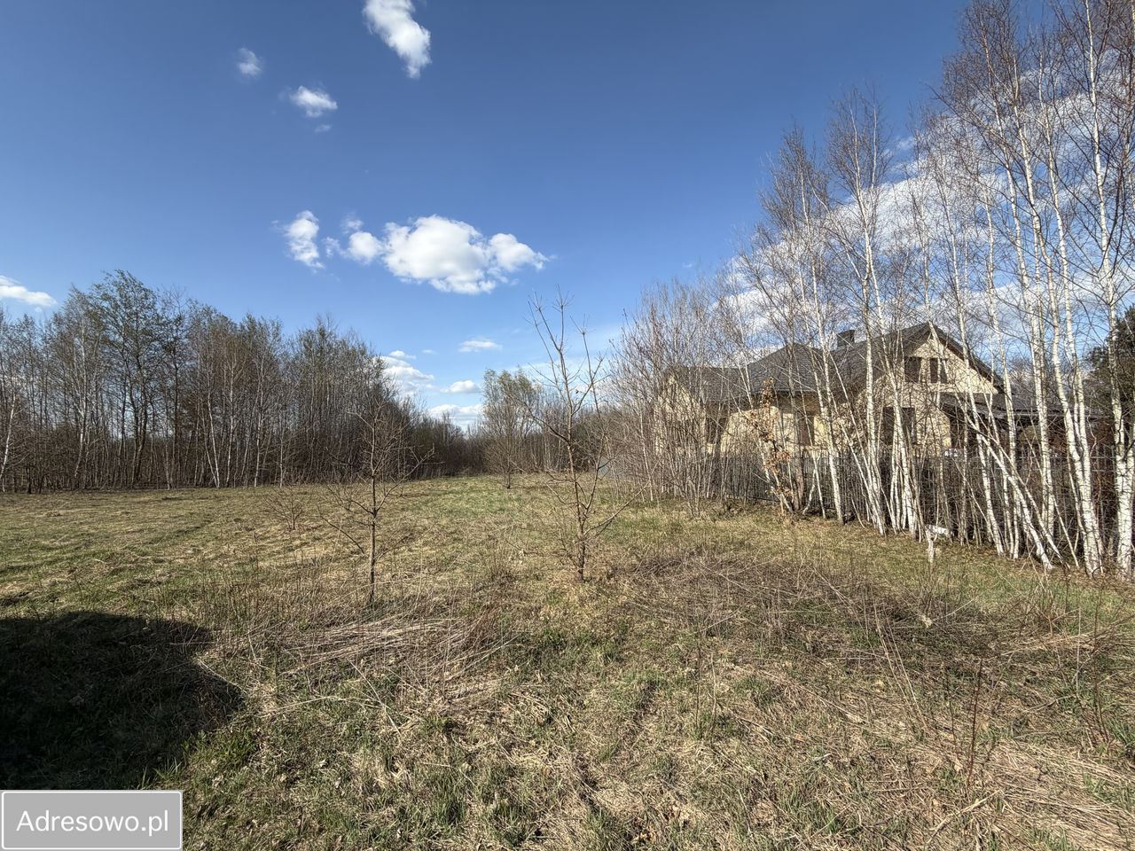 Działka budowlana Łosia Wólka. Zdjęcie 6