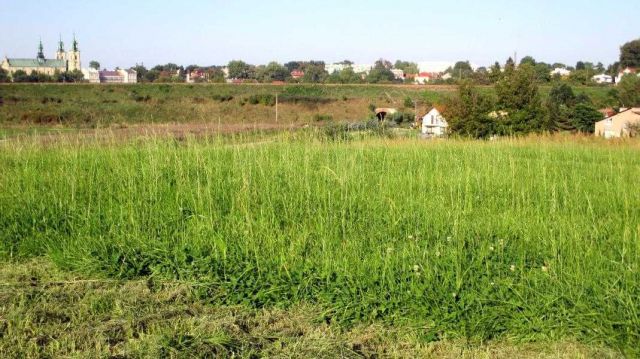 Działka budowlana Jarosław, ul. Zielone Wzgórze. Zdjęcie 1