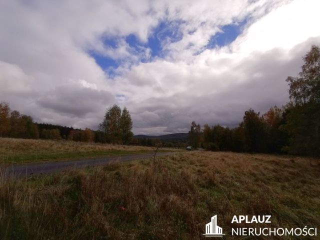 Działka rolna Antoniów. Zdjęcie 5