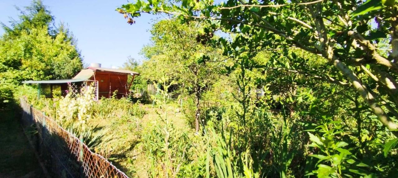 Działka rod Kraków Podgórze, ul. Golikówka. Zdjęcie 2