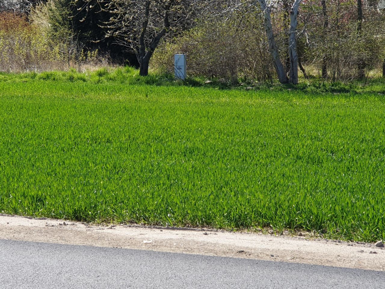 Działka siedliskowa Ustronie Morskie, ul. Ku Słońcu. Zdjęcie 6