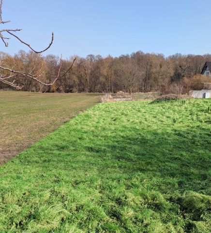 Działka budowlana Żukczyn. Zdjęcie 1