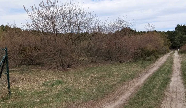 Działka rolna Nowe Miasto