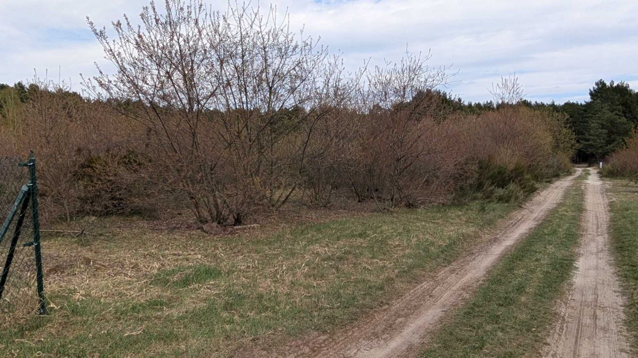 Działka rolna Nowe Miasto. Zdjęcie 1