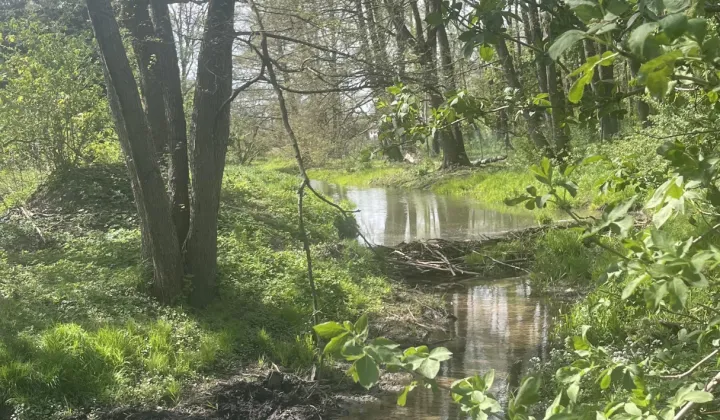 Działka inna Łódź Teofilów, ul. Kąkolowa