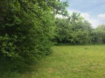 Działka budowlana Sadów. Zdjęcie 2