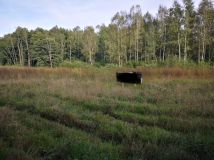 Działka leśna Warzenko, ul. Działkowa. Zdjęcie 3