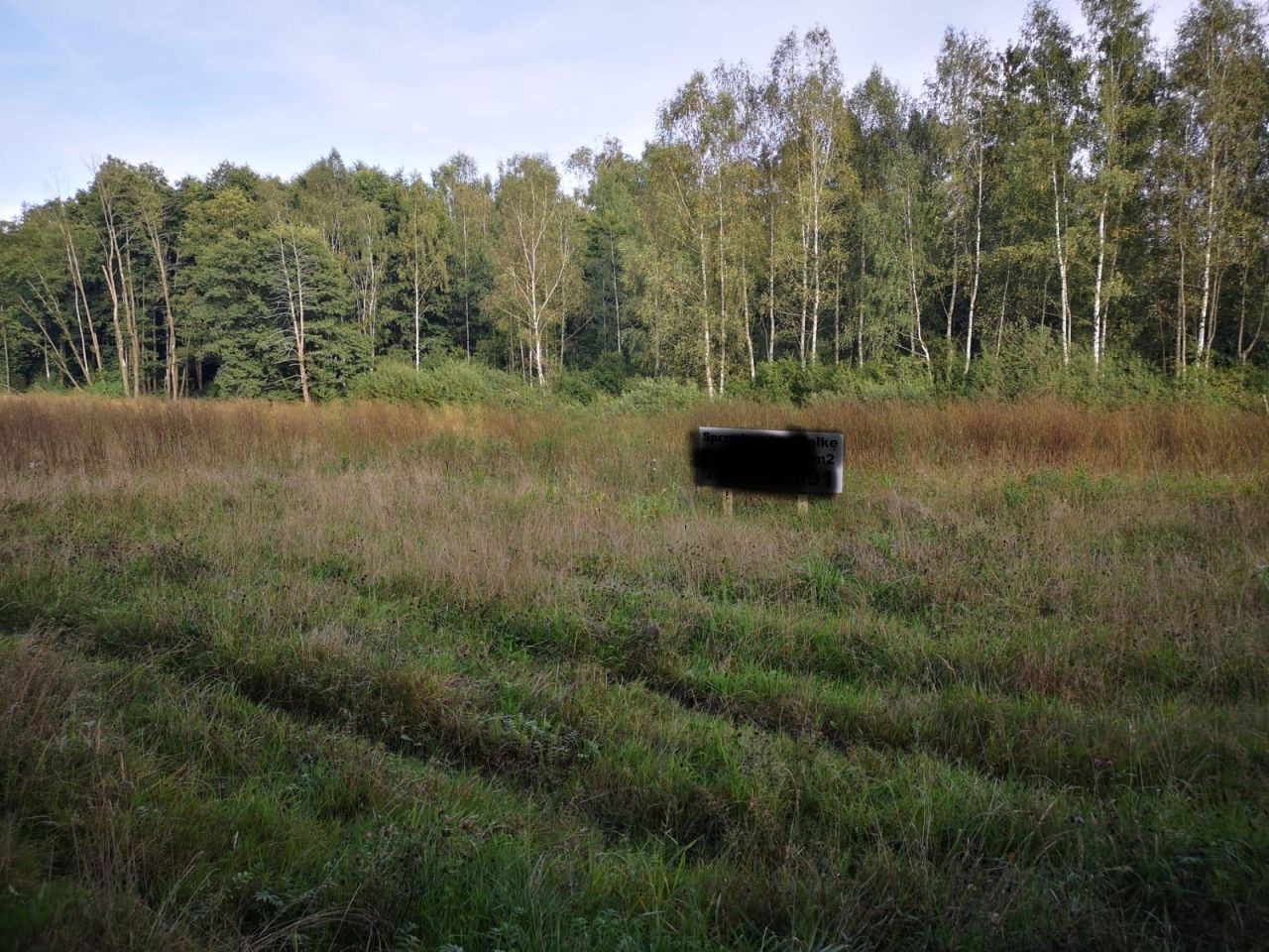 Działka leśna Warzenko, ul. Działkowa. Zdjęcie 4
