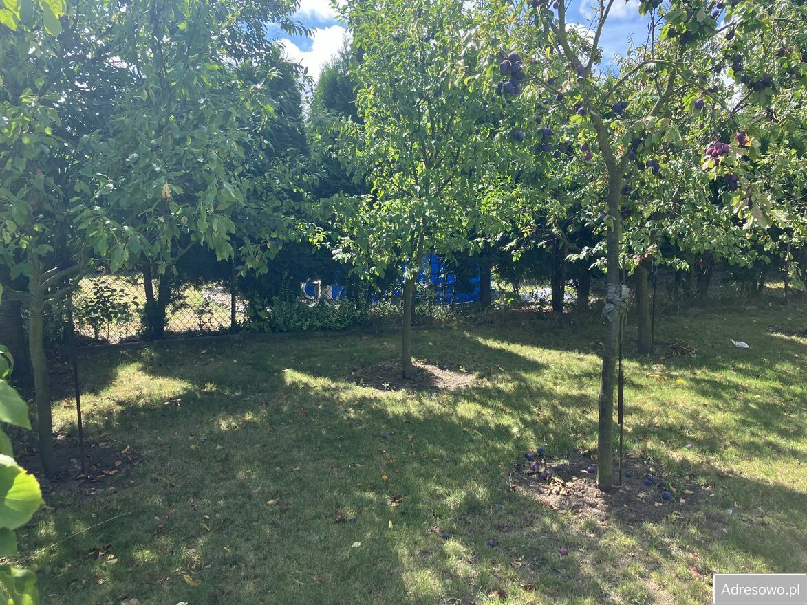 Działka rod Kalisz Szczypiorno, ul. Pogodna. Zdjęcie 5