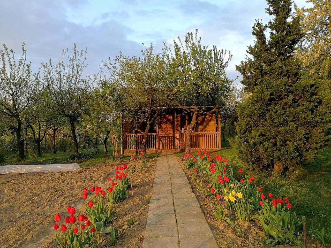 Działka rod Uniszowice. Zdjęcie 5