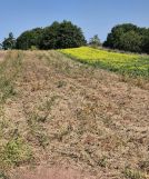 Działka rolna Koniusza