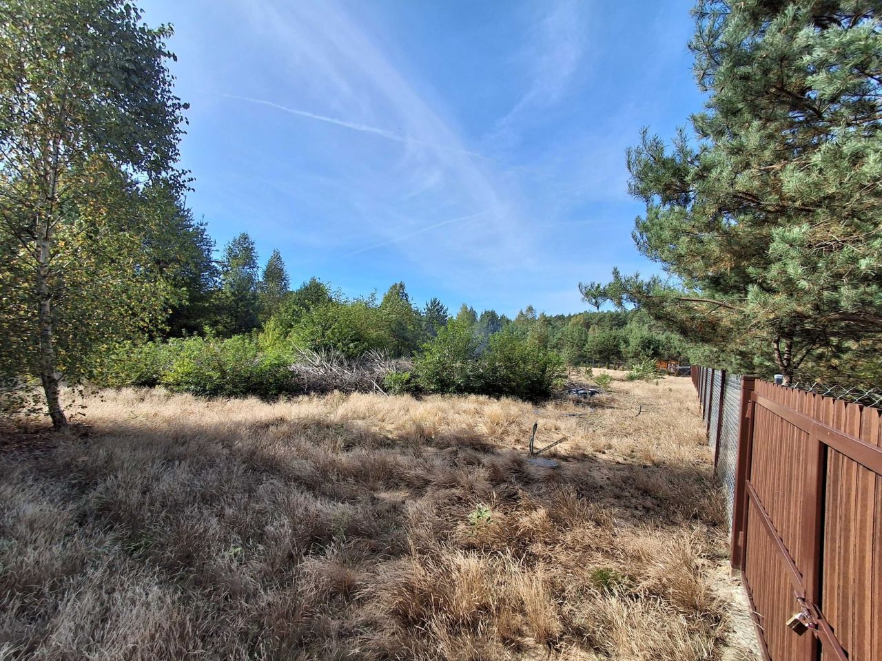 Działka Zuzinów. Zdjęcie 2