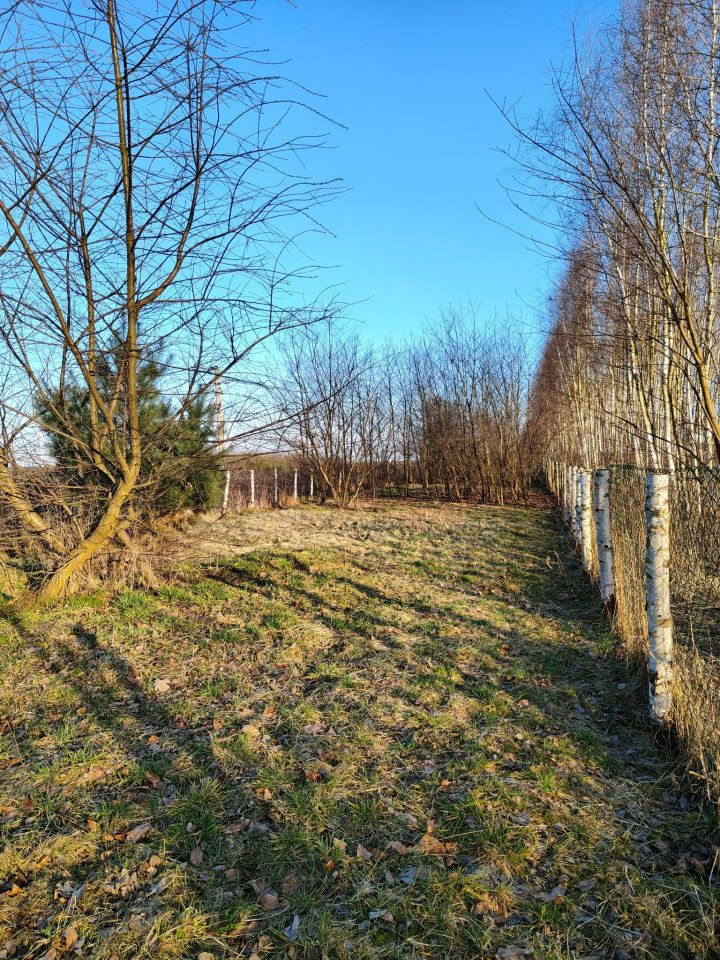 Działka rolno-budowlana Grochowe. Zdjęcie 4