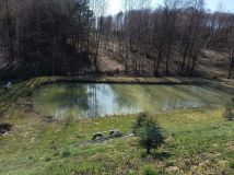 dom wolnostojący Stępina. Zdjęcie 1