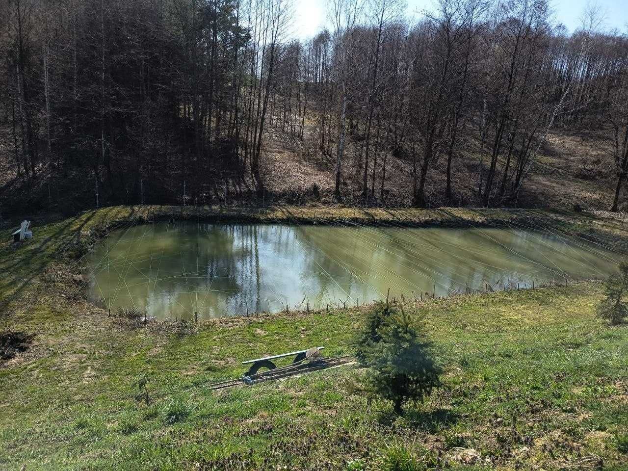 dom wolnostojący Stępina. Zdjęcie 2