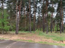 Działka leśna Gulczewo. Zdjęcie 1