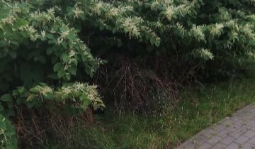 Działka budowlana Siemień, ul. Spacerowa