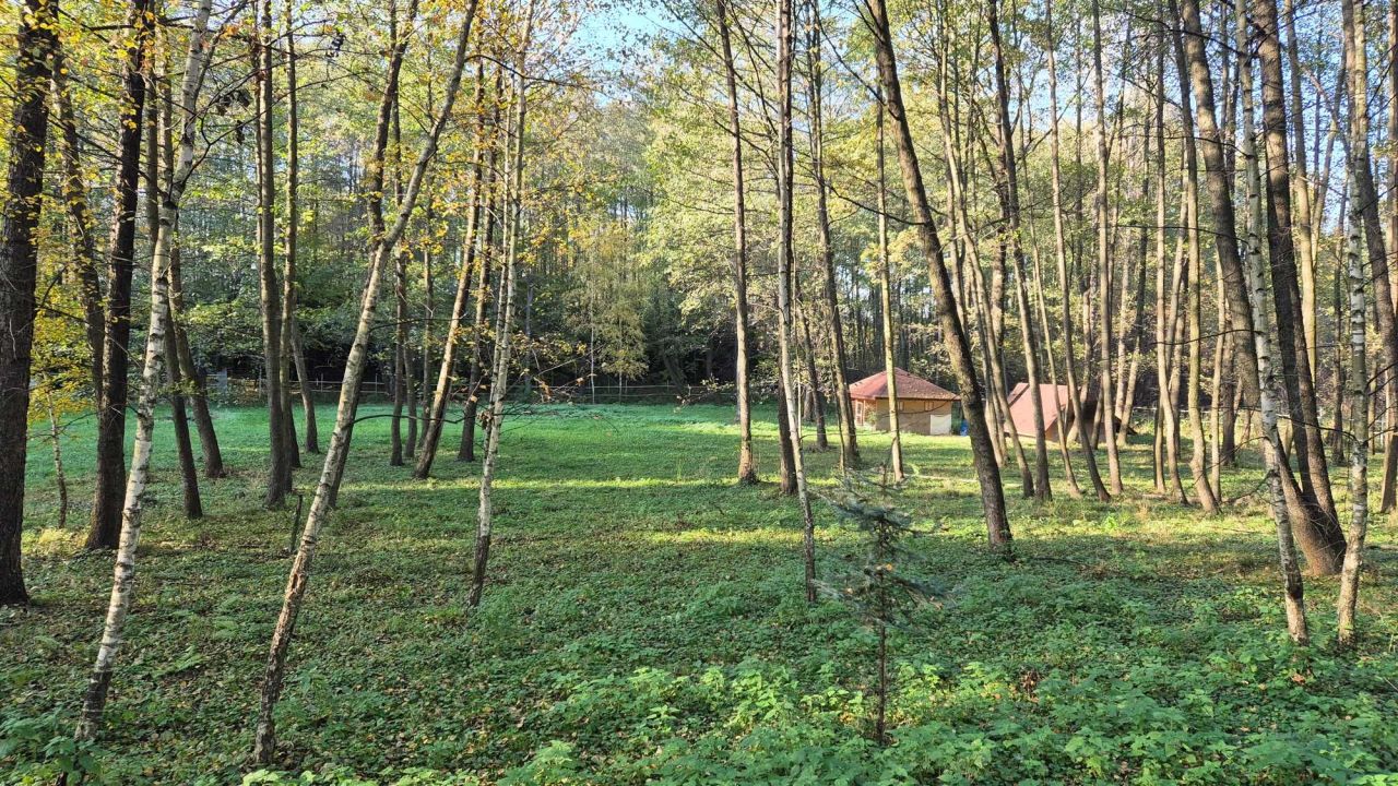 Działka budowlana Strażów. Zdjęcie 8