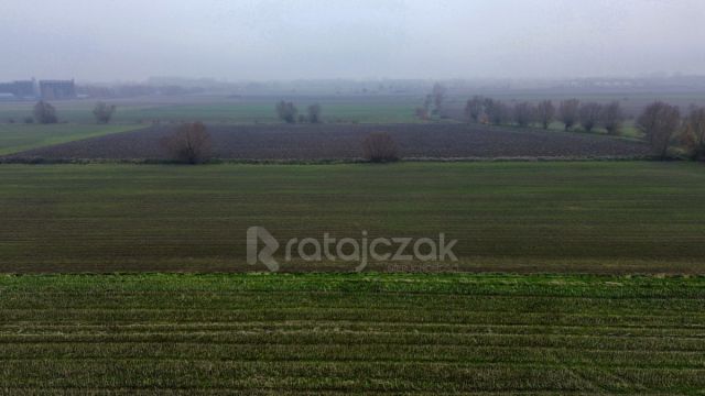 Działka budowlana Drewnica, ul. Wierzbowa. Zdjęcie 11