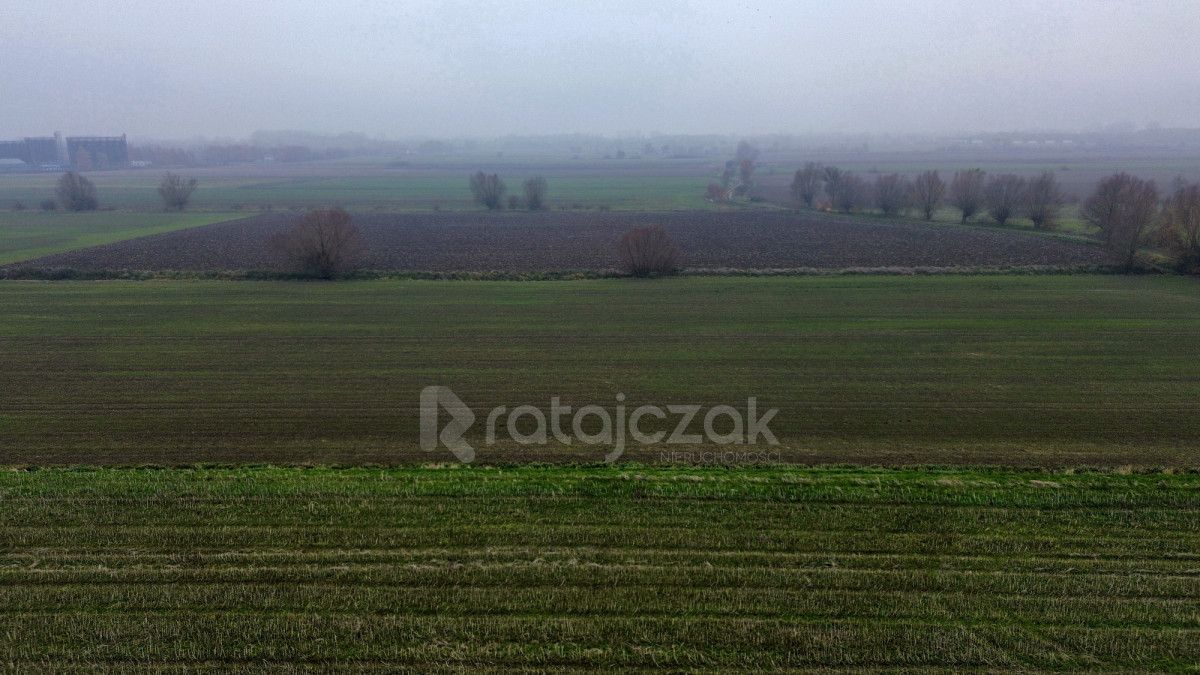 Działka budowlana Drewnica, ul. Wierzbowa. Zdjęcie 11