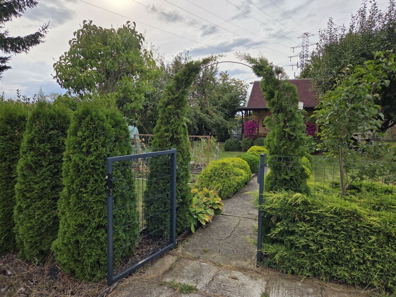 Działka rod Bielany Wrocławskie. Zdjęcie 7