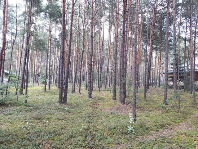 Działka budowlana Mostówka, ul. Zjazdowa. Zdjęcie 1