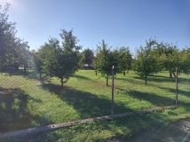 Działka budowlana Pisarzowice. Zdjęcie 1