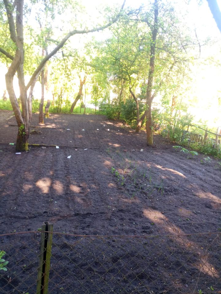 Działka rod Zielona Góra Jędrzychów. Zdjęcie 5