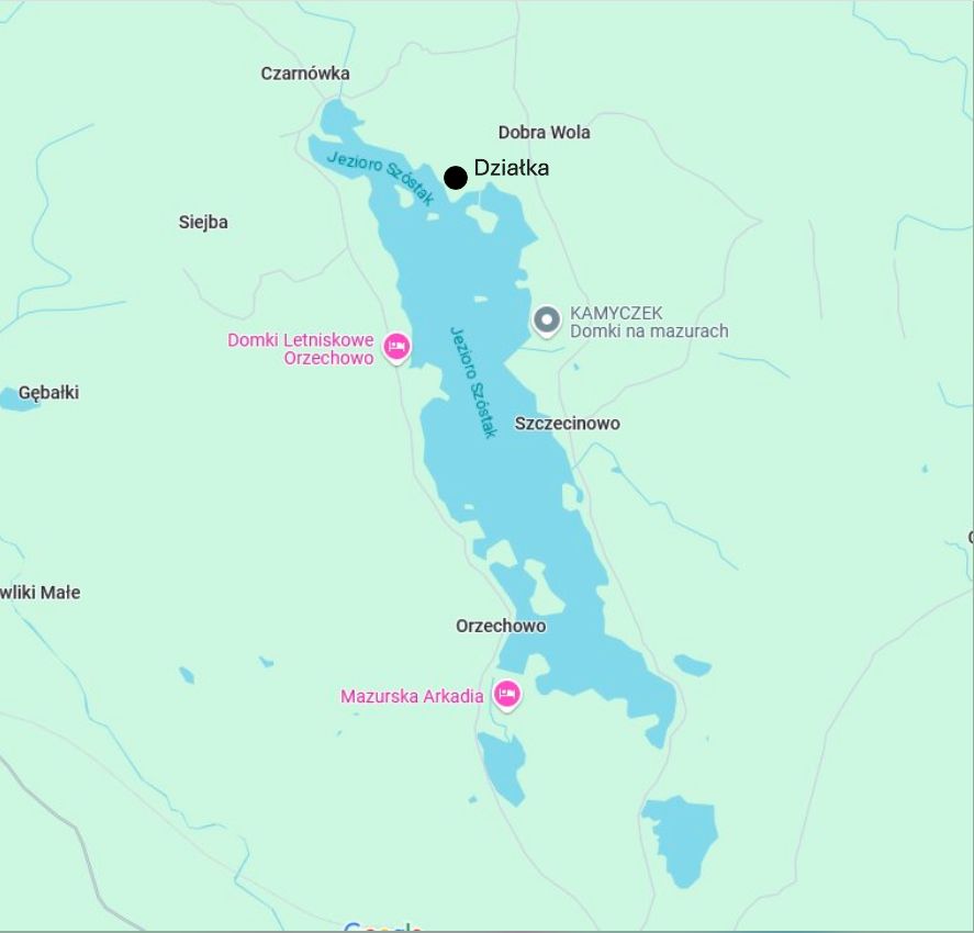 Działka rolna Dobra Wola. Zdjęcie 3