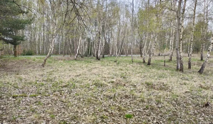 Działka budowlana Hucisko Nienadowskie