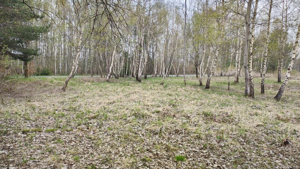 Działka budowlana Hucisko Nienadowskie. Zdjęcie 1