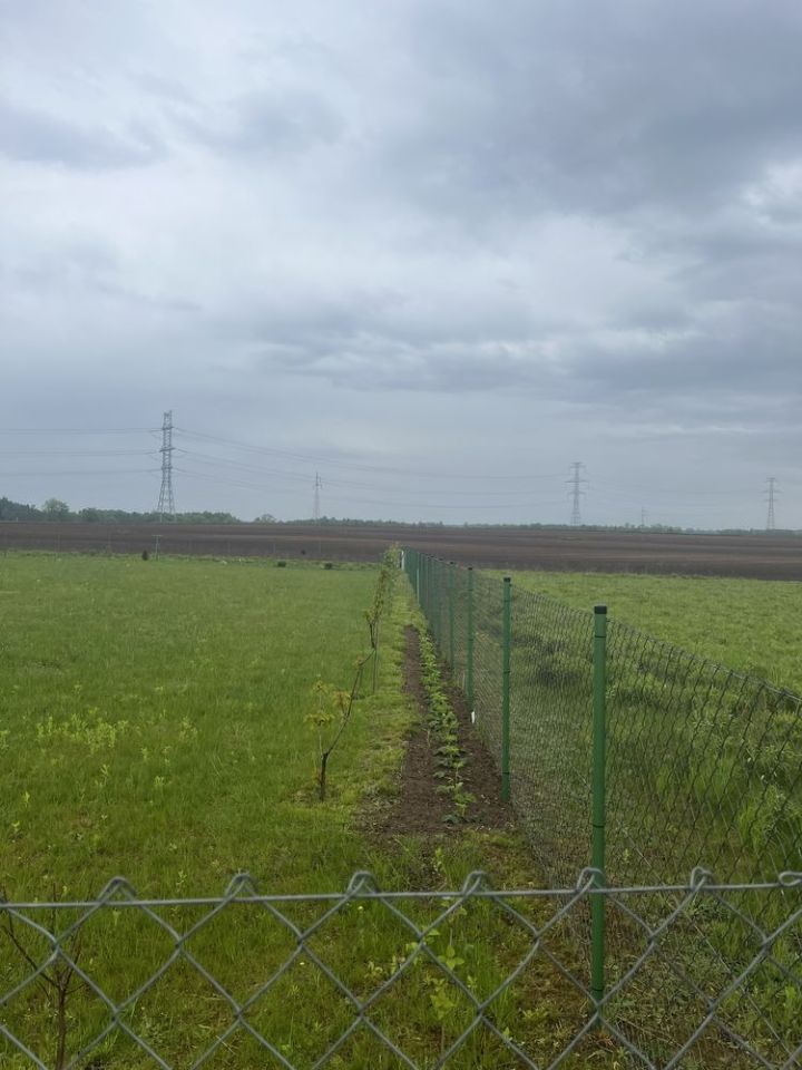 Działka budowlana Bakałarzewo. Zdjęcie 7