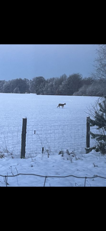 dom wolnostojący, 4 pokoje Czerniewo Czerniec, Czerniewo. Zdjęcie 9