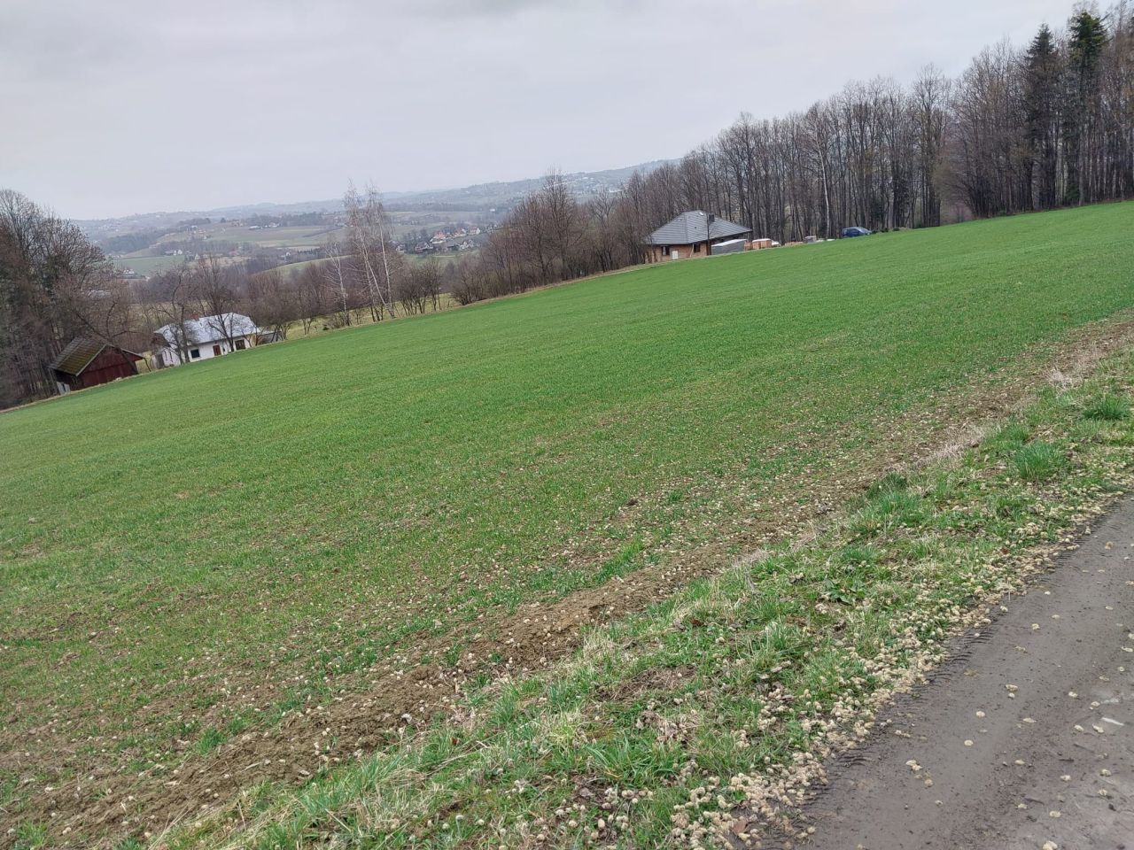 Działka rolno-budowlana Jodłownik Górki. Zdjęcie 5