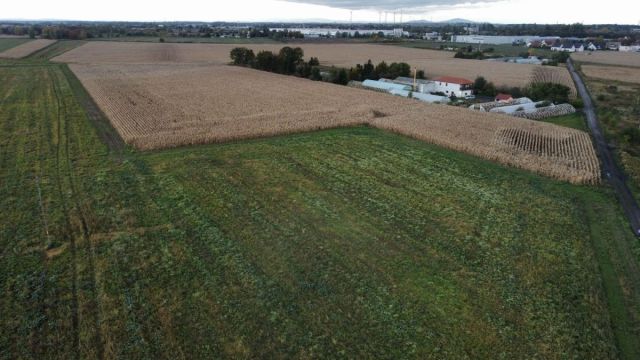 Działka inwestycyjna Ścinawa Polska. Zdjęcie 6