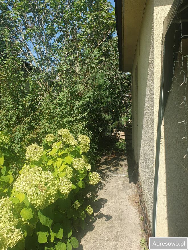 Działka rod Poznań, ul. Pusta. Zdjęcie 11