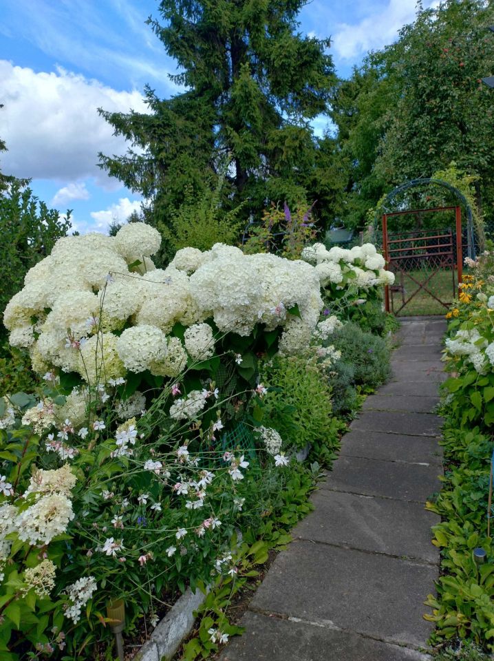 Działka rod Bytom, ul. Strzelców Bytomskich. Zdjęcie 3