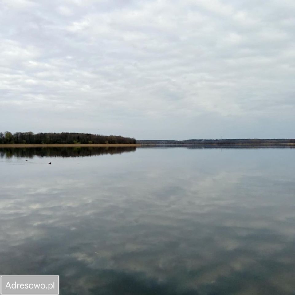Działka rolna Targowo. Zdjęcie 2