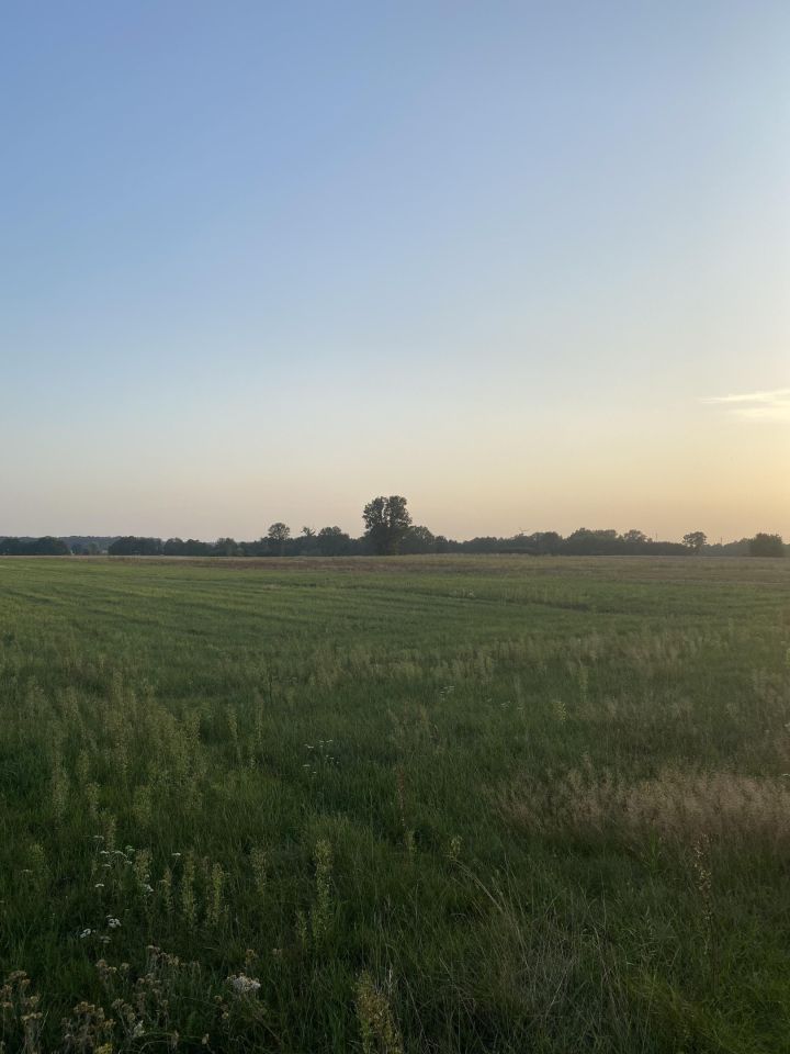 Działka siedliskowa Janowice. Zdjęcie 2