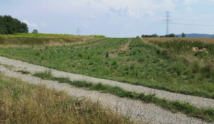 Działka siedliskowa Radwanowice