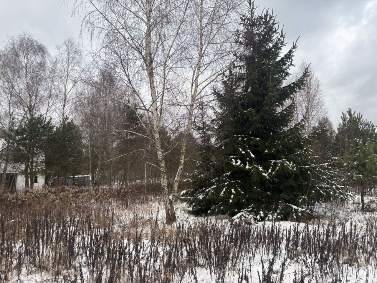 Działka budowlana Cisie. Zdjęcie 2