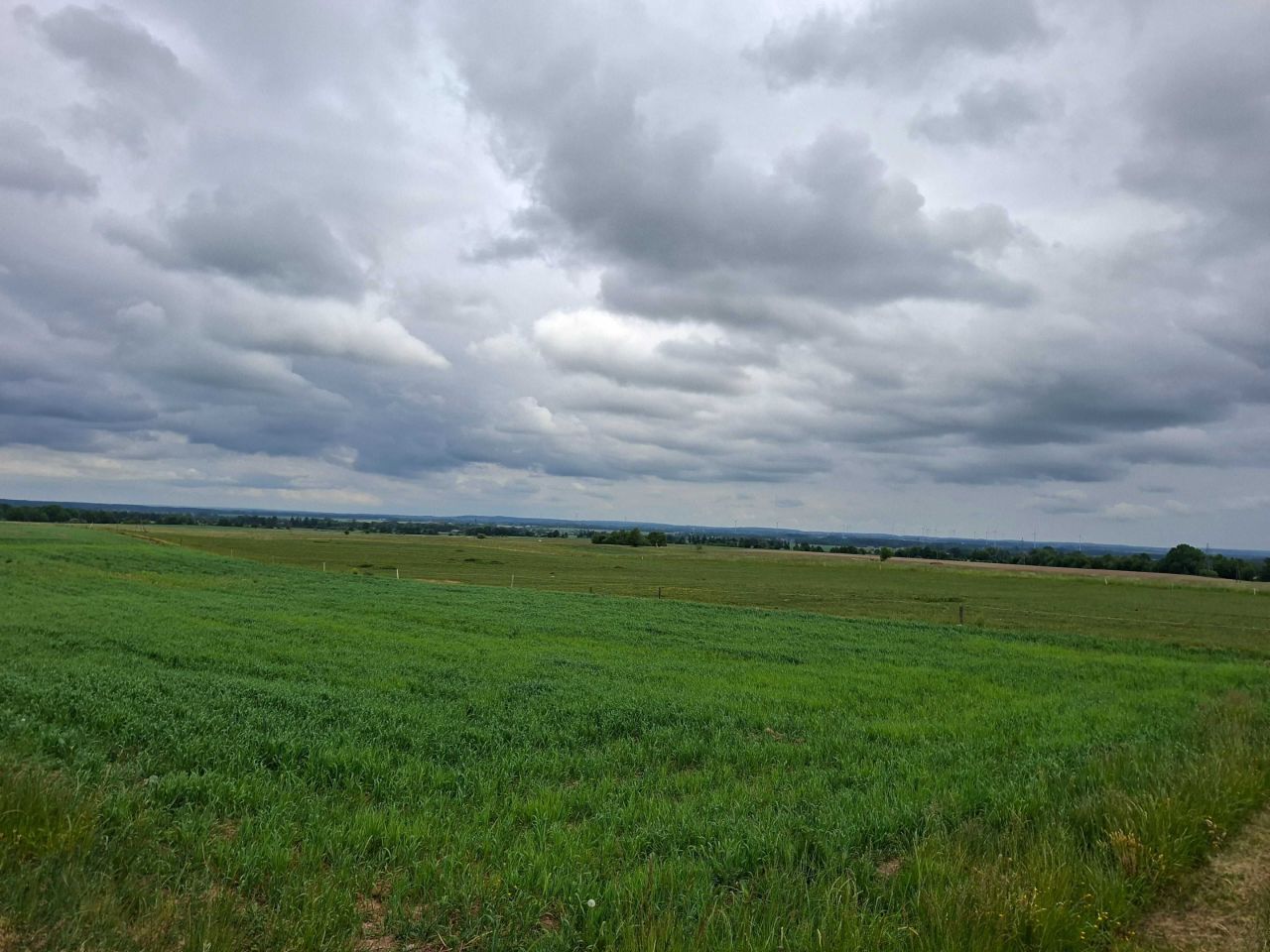 Działka budowlana Aniołowo. Zdjęcie 2