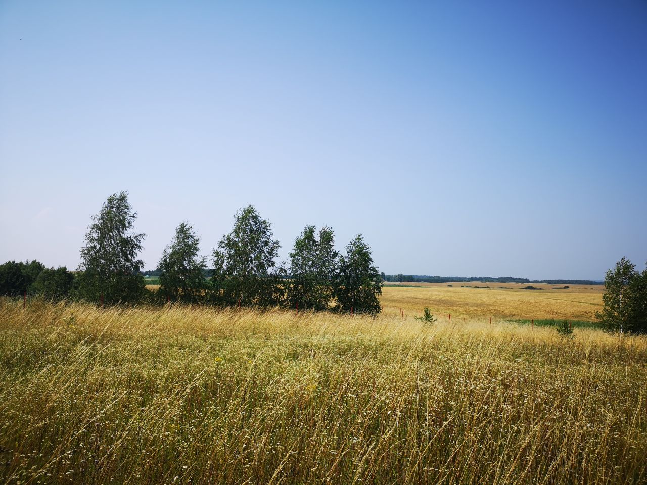 Działka rolna Kleszczewo. Zdjęcie 8