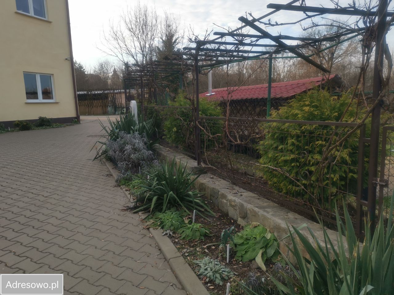 Lokal Żagań, ul. Piłsudskiego. Zdjęcie 6