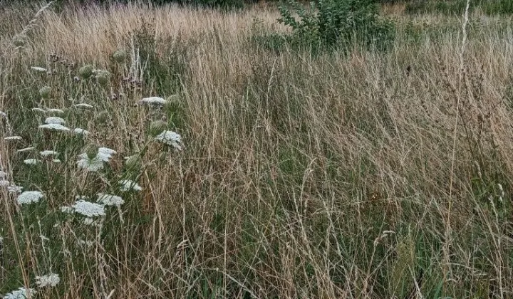 Działka budowlana Chojnice