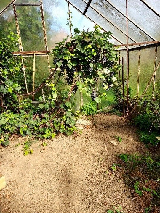 Działka Hebdów. Zdjęcie 2