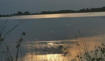 Działka budowlana Wola Korybutowa Druga