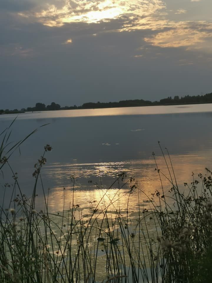 Działka budowlana Wola Korybutowa Druga